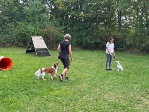 FB IMG 1757793225001