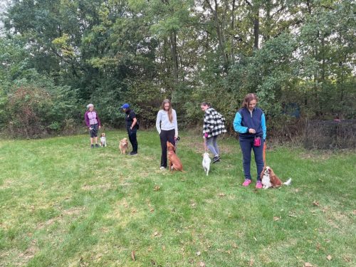 FB IMG 1757830455852