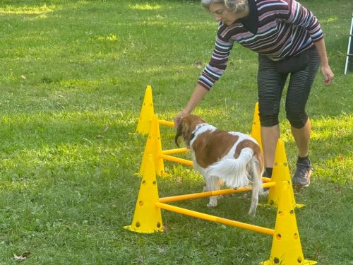 FB IMG 1759082794076