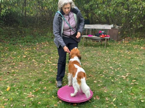 FB IMG 1761409589126