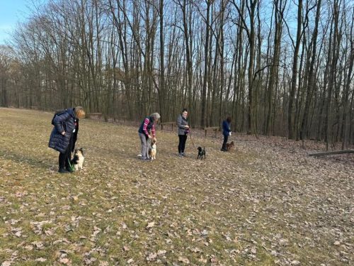 FB IMG 1772381913527