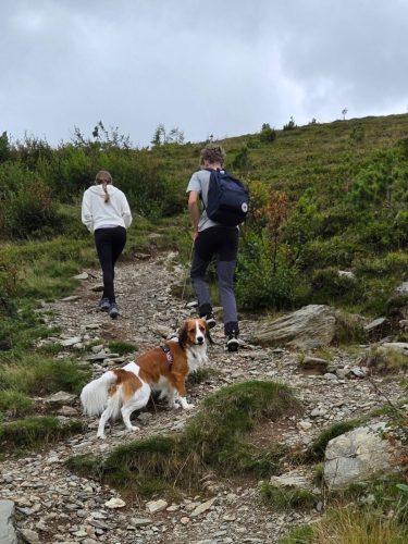 original cf5617b1-41b1-4aba-8794-294d3612dfa6 20250728 104655