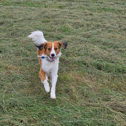 original 73ba9412-f91e-4ba0-98b7-48a2be7845d6 20251011 165852